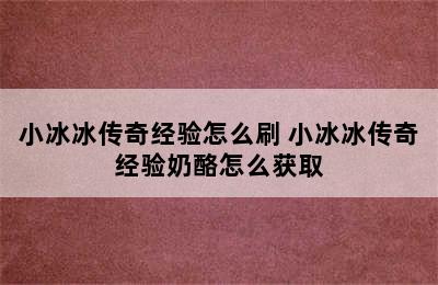 小冰冰传奇经验怎么刷 小冰冰传奇经验奶酪怎么获取